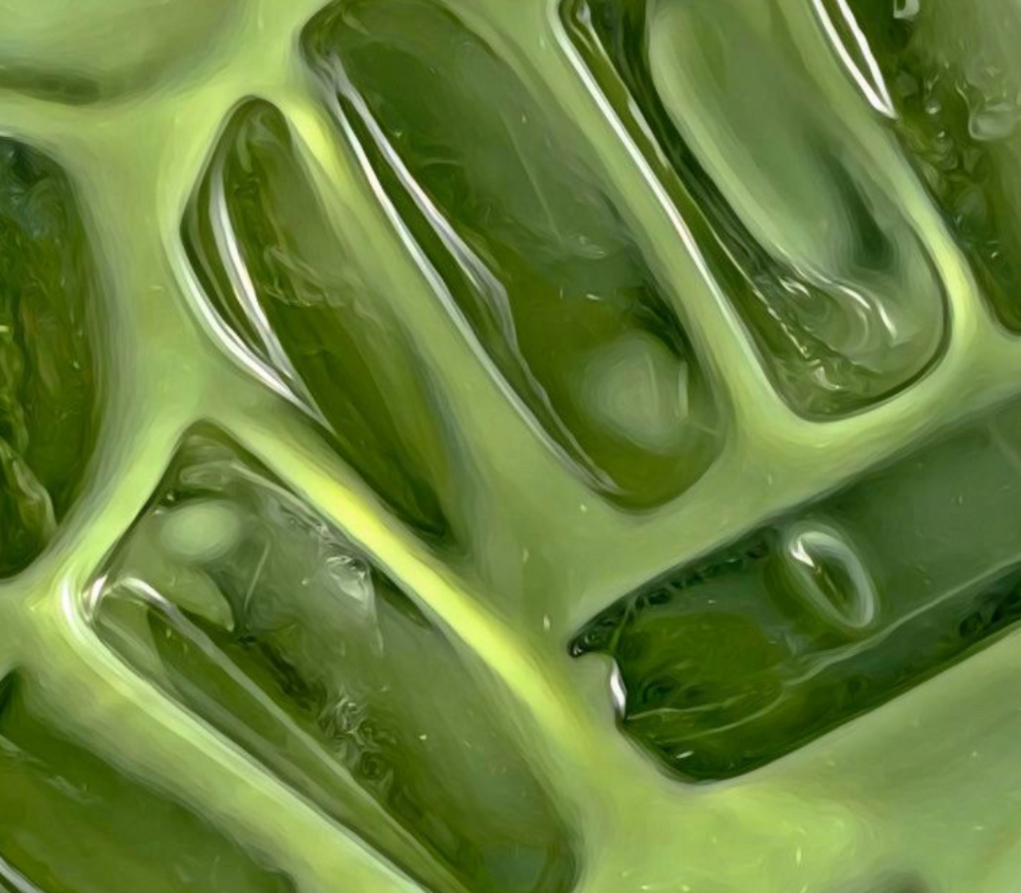 Moringa Silk Shampoo Bar
