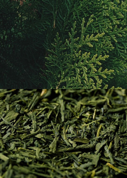 Tea Spa šampoon 
